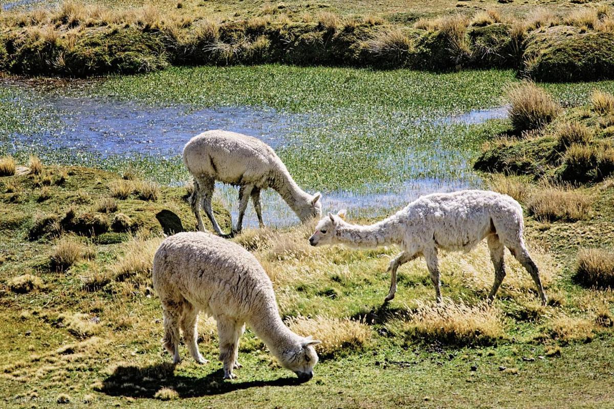 Los Portales De Chivay Dış mekan fotoğraf